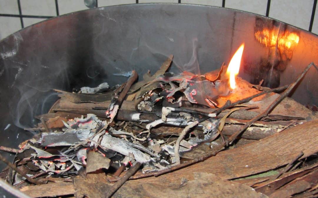 Leaf to landscapes: what influences litter bed flammability?
