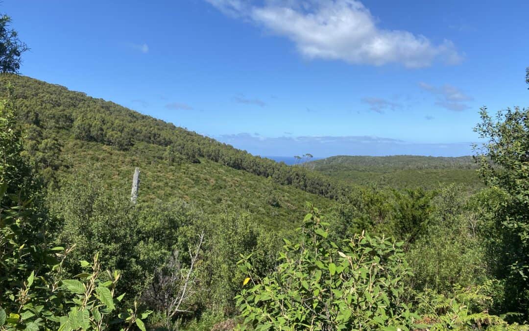 Restoration of eucalypt forest in Wilsons Promontory National Park- Implications for forest values and site and landscape flammability
