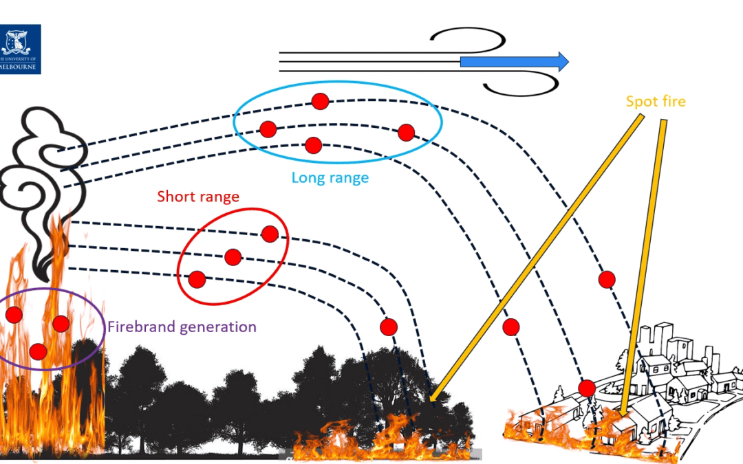 Multiscale experimentation and simulation of wildfire spotting